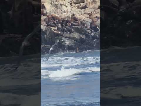 Cobquecura, Ñuble, Chile 🇨🇱