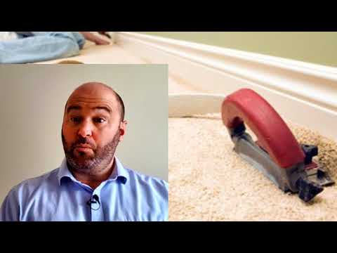 download lagu mp3 mp4 Carpets Poole, download lagu Carpets Poole gratis, unduh video klip Carpets Poole