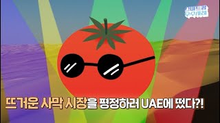 중동에서 주목받은 토마토가 있다!? | 우듬지팜 | UAE 순방성과 | 스마트팜우수사례