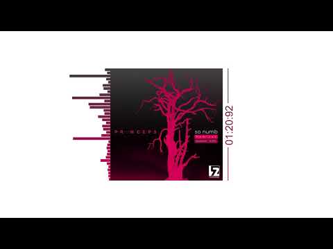 Prïnceps - So Numb | HYSTERISM remix (audiø)