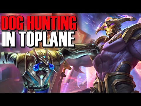 HUNTING THIS DOG DOWN TOPLANE | NAAYIL