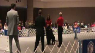 Tyler NOI 2009 Open