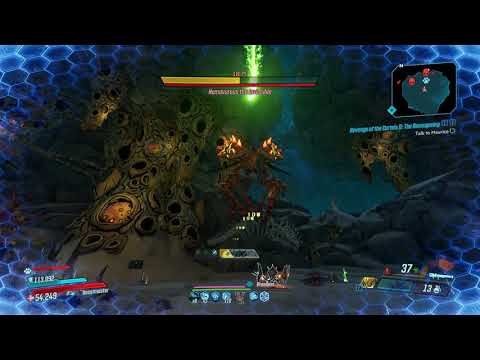 Level 72 Launcher FL4K | 3-Shoting Hemovorous the Invincible