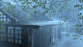 Relax & Sleep Soundly to the Sound of Pattering Rain with Loud Thunder on a Tin Roof in Foggy Night