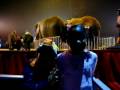 UniverSoul Circus Atlanta Part 7