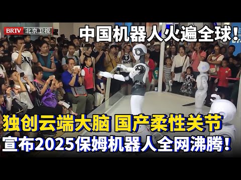 中国机器人亮相火遍全球！独创云端大脑形成自主认知，打破国外垄断造国产柔性关节，宣布2025保姆机器人时全网沸腾！【为你喝彩】