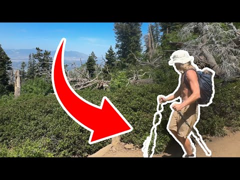 Trekology Trek-z Collapsible Hiking Pole Honest Review