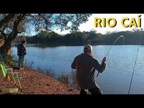 PESCARIA NO RIO CAÍ EM NOVA SANTA RITA RS.JUNDIÁ MONTRO E BRANCA DE MEIO QUILO.