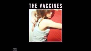 Family Friend - The Vaccines