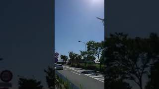 福岡空港 真下から飛行機！