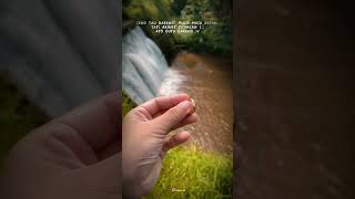Download lagu STORY WHATSAPP|| QUETES JAWA|| Rene cah kumpul:D #storywa #jowostory #sematakarenamu mp3