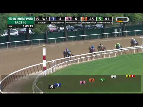 Discreet Lover - 2018 - The Jockey Club Gold Cup
