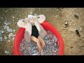 #BACKDANSLESBACS - Coeur de pirate - Femme like U (clip officiel)