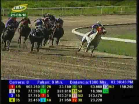 Resumen Domingo, 21 de Agosto de 2016 - La Rinconada