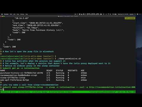 Istio Auto mTLS and JWT (Istio 1.5) - Part 1