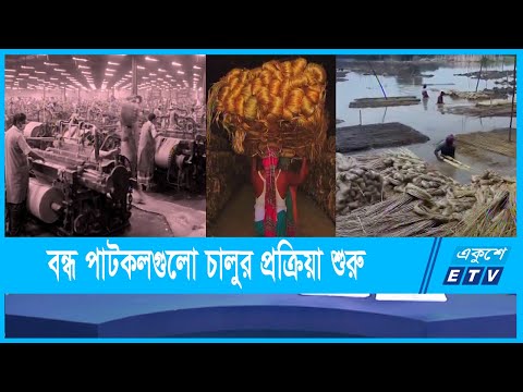 পাটজাত পণ্য রপ্তানিতে বাংলাদেশের আয় ১১৬ কোটি মার্কিন ডলার