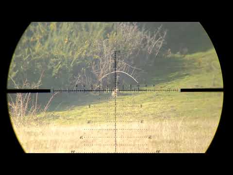 Fx impact m3 long range 184 yards