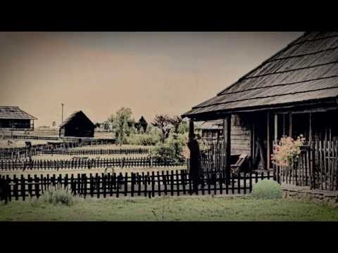 Sukkos Preparations (RALEIGH 2016)