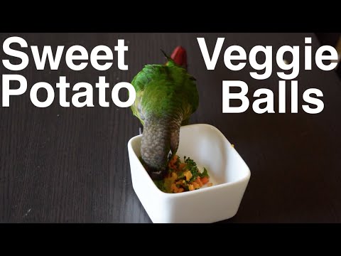 Sweet Potato Veggie Balls | Diy