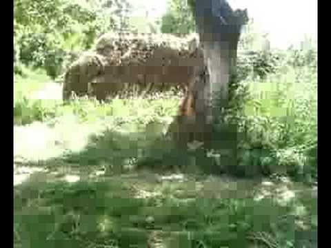 accident grav in deta