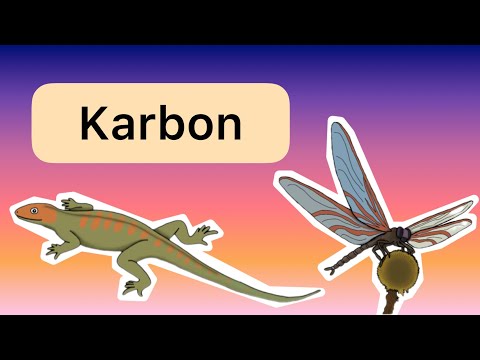 Das Karbon (Paläozoikum Teil 5)