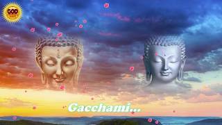 Buddha Special Whatsapp Status Video | Buddham Saranam Gacchami | God Whatsapp Status