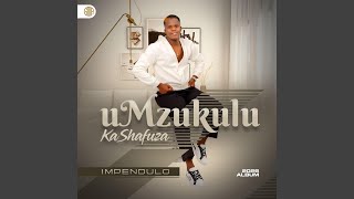 Download lagu Ingwenxe mp3