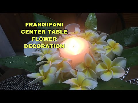 HOW FRANGIPANI (PLUMERIA ) FLOWERS MAKE YOUR TABLE BEAUTIFUL ? FRANGIPANI TREE ON MY BACKYARD.