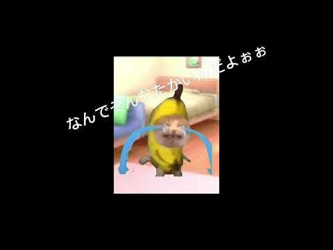 猫ミームスマホ劇第一話データ消えたから再投稿!