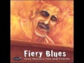 TONY MONACO (Columbus Ohio ,U.S.A) -  08. Stormy Monday
