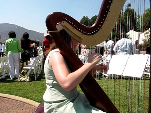 Promotional video thumbnail 2 for Harp4all Music