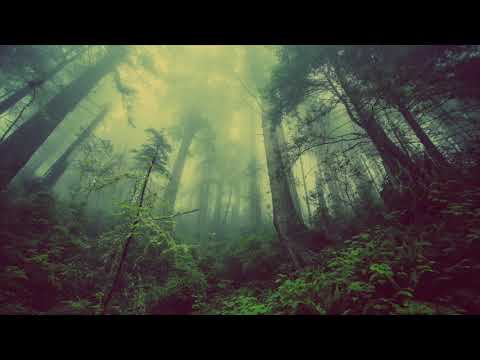 Beautiful Fantasy Music - Enigma of the Deep