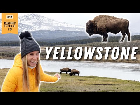 USA Reise zum YELLOWSTONE NATIONALPARK • USA Doku | VLOG 577
