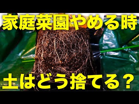 , title : '【土捨てる】家庭菜園をやめるときの注意点,土の捨て方と再利用方法【プランター植木鉢栽培】'