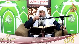 النور الساري ـ البخاري ( 241 ) باب وجوب القراءة للإمام ـ الشيخ مصطفى العدوي  ح 750  تاريخ 23  2 2025
