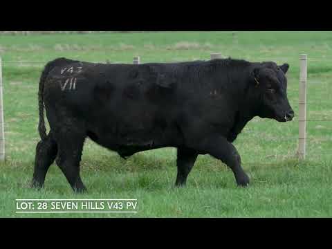 Lot 28  SEVEN HILLS V43 PV
