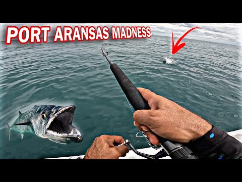 INSANE Feeding Frenzy At Port Aransas Jetty (KING Mackerel Everywhere)