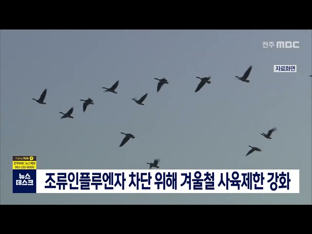 조류인플루엔자 차단 위해 동계 사육제한 강화