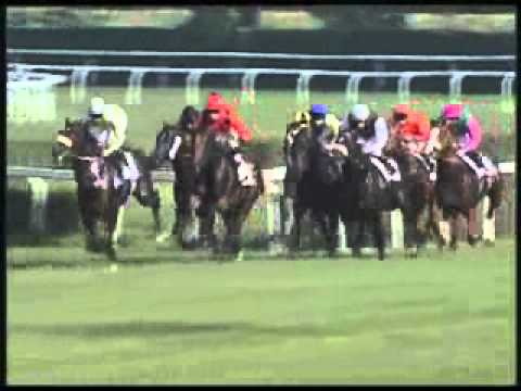 Premio Gius. Ippolito Fassati 2011 (LISTED RACE)