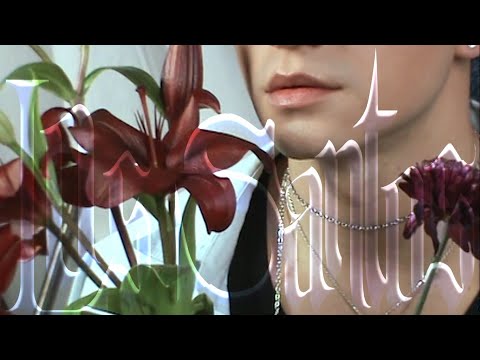 Sebades - Ángela (Visualizer)