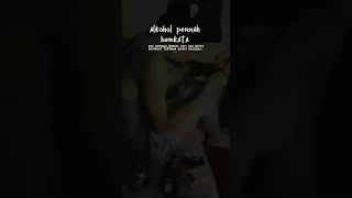 Download lagu alkohol berkata #masalalu #nakal mp3