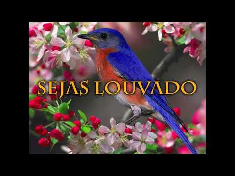 Hinário Adventista 007 - SEJAS LOUVADO