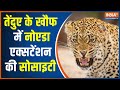 Leopard spotted in basement of Greater Noida society, forest officials conduct rescue operation