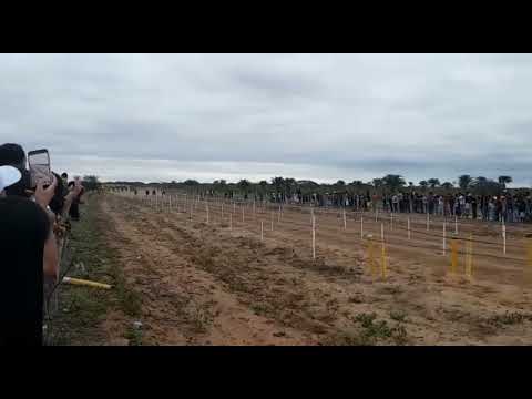 3° PÁREO CLASSIFICATÓRIO HGP - 2022