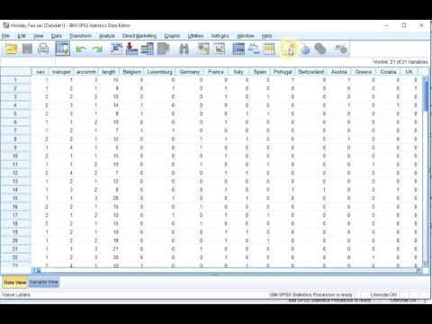 S01E04-1-0 SPSS Basics - First Look