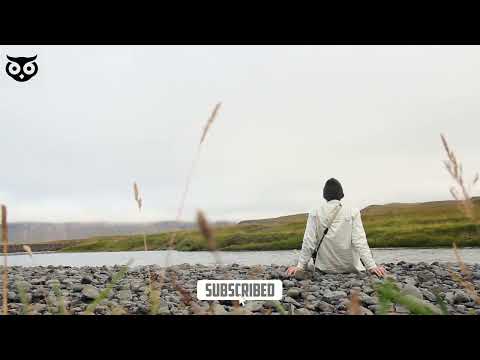 Uncovering the Mystery of Memory: How Our Brains Store and Recall Information