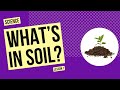 What’s in Soil? | Science Lesson
