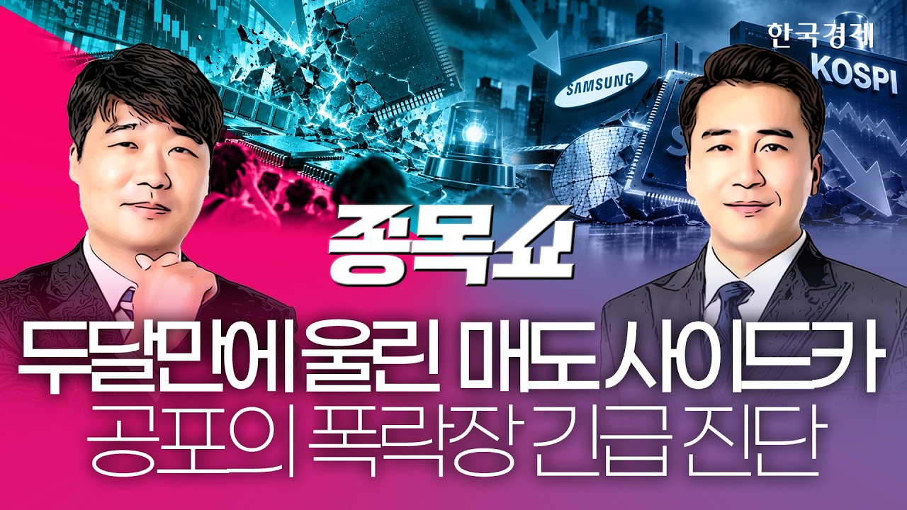 창신메모리發 반도체 쇼크에 코스피 매도 사이드카…공포의 하락장에도 '이 종목'은 오른 이유ㅣ종목쇼?