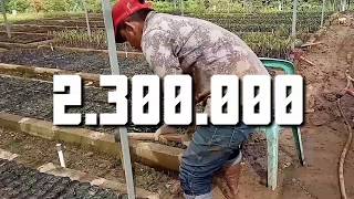 Download lagu STORY WA LUCU ORANG ACEH mp3