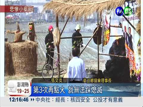 火燒小麥節! 3少年縱火罪送辦